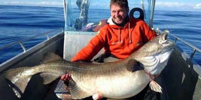 world cod record 2013 103.6lb copy.jpg